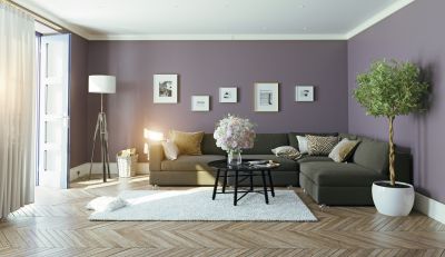 Living Room Interior Painting